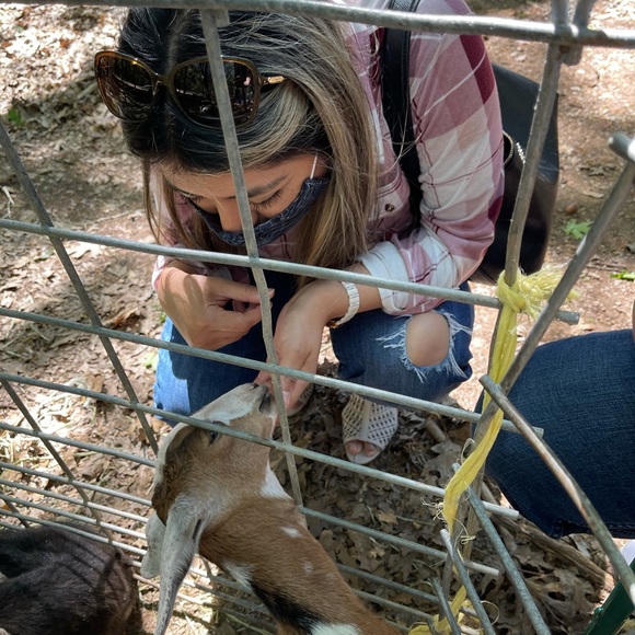 Meet your Posher, Erika - Picture 2 of 2